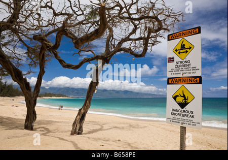 Spiaggia di Kanaha Beach Park Maui Hawaii USA Foto Stock