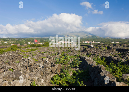 Isola Pico Vigna cultura UNESCO - Sito Patrimonio dell'isola di Pico Azzorre Portogallo Foto Stock