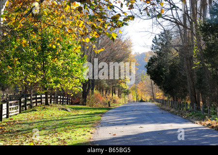 Leafy Lane durante la caduta nel Connecticut, Stati Uniti d'America Foto Stock