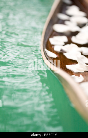 Di foglie di palma galleggiante sull'acqua, fiore bianco petalo sparse sulla foglia Foto Stock