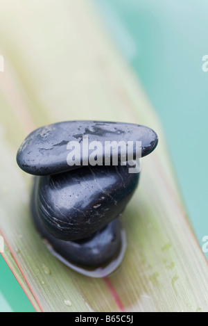 Bagnato pietre impilate su foglia di palma, close-up Foto Stock