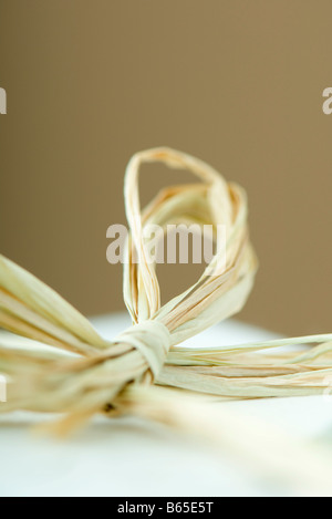 Raffia bow, close-up Foto Stock