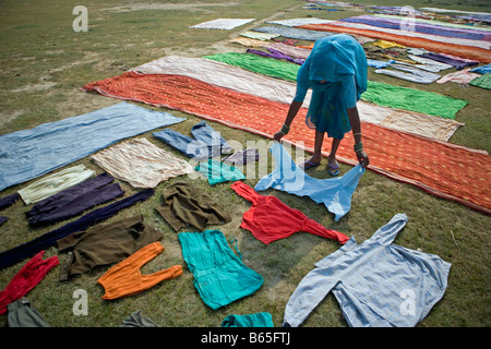 India, Lucknow, Uttar Pradesh, Campagna nei pressi di Rae Bareli, il lavaggio della biancheria. Foto Stock