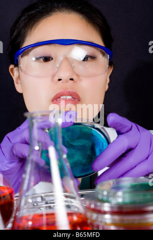 Ricercatore che lavora con capsule di petri in laboratorio. Foto Stock