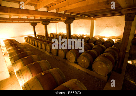 Cantina e Vigneto Francisco Undurraga Maipo Valley Cile Foto Stock