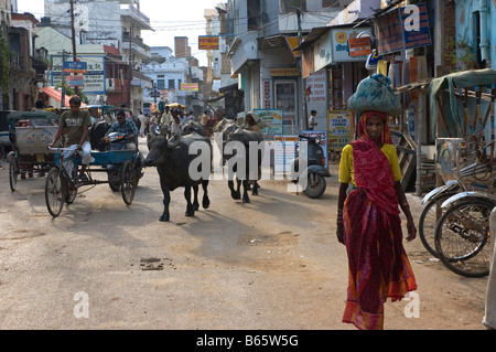 Tipica scena di strada con la gente, le biciclette e le vacche sacre di Varanasi, Benares, India. Foto Stock