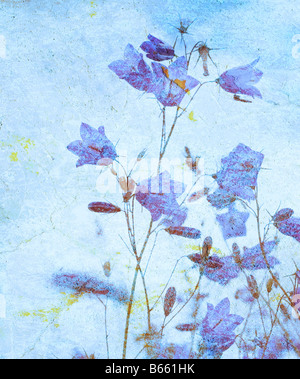 Grunge floral background con spazio per il testo o immagine Foto Stock