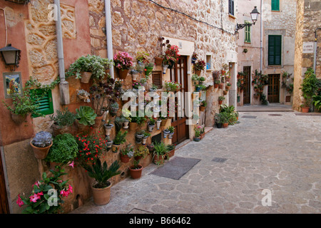 Valdemossa lane corsie sbocciare fiori romantico borgo po Foto Stock