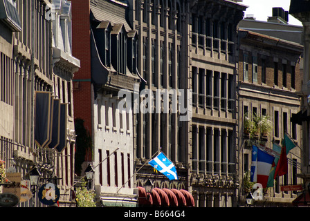 Vecchi edifici francese e del Quebec bandiera su Rue Saint Paul nella vecchia Montreal, Quebec, Canada Foto Stock