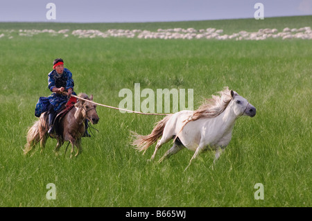 Praterie pastore a cavallo le catture a cavallo con corda e pole urga Xilinhot Inner Mongolia Cina Foto Stock