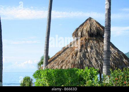 Un tetto di paglia tropicale capanna di erba o palapa in Messico Foto Stock