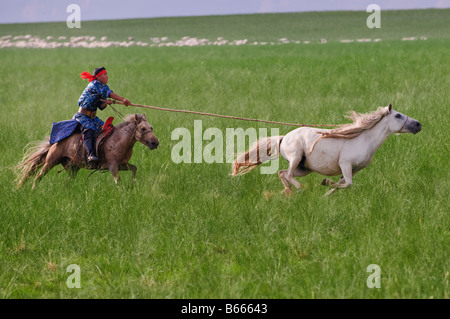 Praterie pastore a cavallo le catture a cavallo con corda e pole urga Xilinhot Inner Mongolia Cina Foto Stock