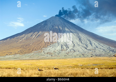 Eruzione del Ol Doinyo Lengai in Tanzania 2007 Foto Stock