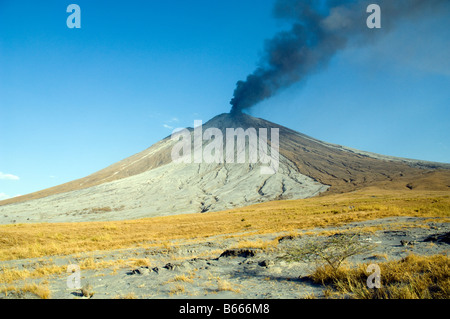 Eruzione del Ol Doinyo Lengai in Tanzania 2007 Foto Stock