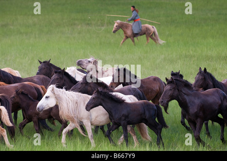 Praterie pastore a cavallo le catture a cavallo con corda e pole urga Xilinhot Inner Mongolia Cina Foto Stock