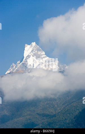 Coda di pesce la montagna da Ghandruk villaggio in modi valle fluviale nella catena Hannapurna, Himalaya, Nepal Foto Stock