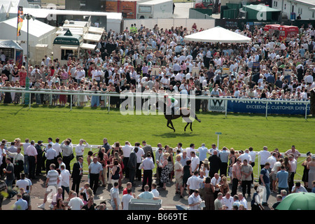 Chester Race Course, gara meeting, folla e cavalli in corso, in una giornata di sole, Cheshire, Inghilterra Foto Stock