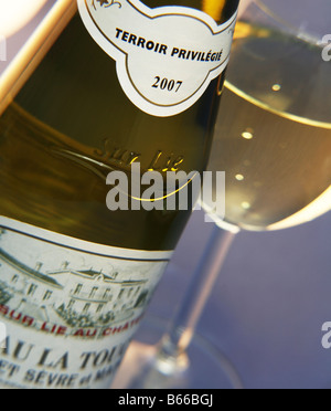 Muscadet de Sevre et Maine sur lie vino con vetro Foto Stock