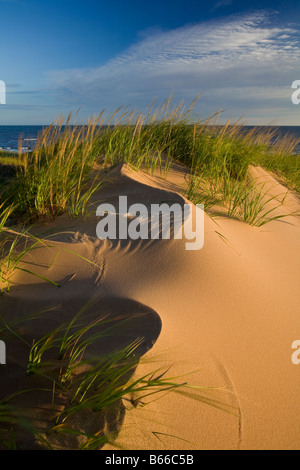 Dune di Brackley Prince Edward Island National Park in Canada Foto Stock