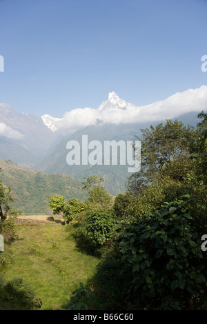 Coda di pesce la montagna da Ghandruk villaggio in modi valle fluviale nella catena Hannapurna, Himalaya, Nepal Foto Stock