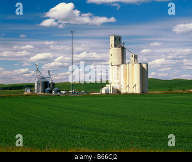 WASHINGTON - silos per il grano in campi di fattoria vicino Steptoe nel Palouse area di Eastern Washington. Foto Stock