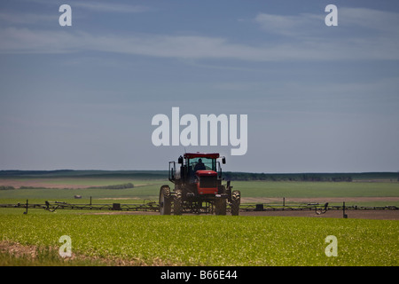 Agricoltore di colture di spruzzatura da trattore vicino alla città di Rockglen, Southern Saskatchewan, Canada. Foto Stock