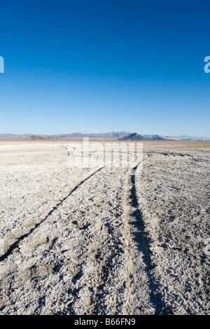 Paesaggio nel deserto di Mojave sulla strada Zzyzx appena fuori la Interstate 15 tra la e Las Vegas, CALIFORNIA, STATI UNITI D'AMERICA Foto Stock
