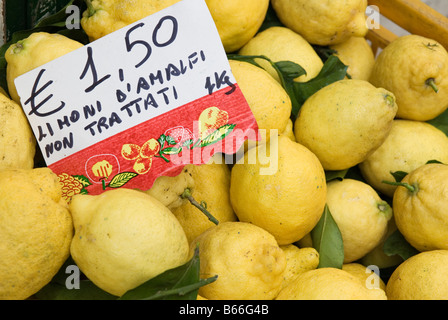 Grandi limoni locali in una cassa al di fuori di un negozio in Amalfi, Campania, Italia Foto Stock