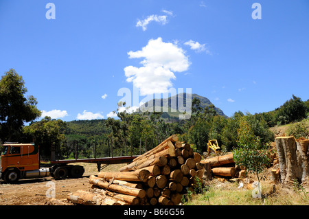 Registri di carico Foto Stock