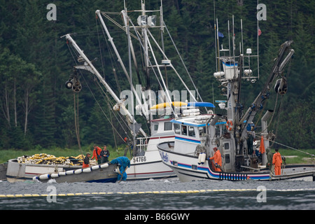 Stati Uniti d'America Alaska salmone barche da pesca raccoglie le reti nei pressi di pod di alimentazione delle balene megattere in Chatham stretto Foto Stock