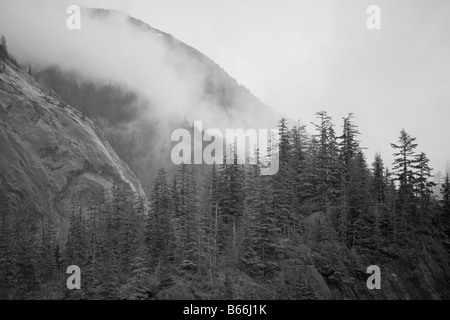 Stati Uniti d'America Alaska Juneau Foresta Pluviale copre i fiordi nel terrore di guadi lungo il braccio Endicott Foto Stock