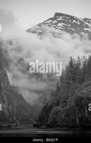 Stati Uniti d'America Alaska Juneau Foresta Pluviale copre i fiordi nel terrore di guadi lungo il braccio Endicott Foto Stock