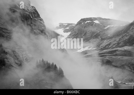 Stati Uniti d'America Alaska Juneau Foresta Pluviale copre i fiordi nel terrore di guadi lungo il braccio Endicott Foto Stock