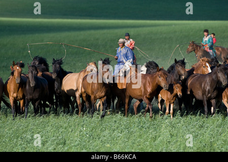 Praterie pastore a cavallo le catture a cavallo con corda e pole urga Xilinhot Inner Mongolia Cina Foto Stock