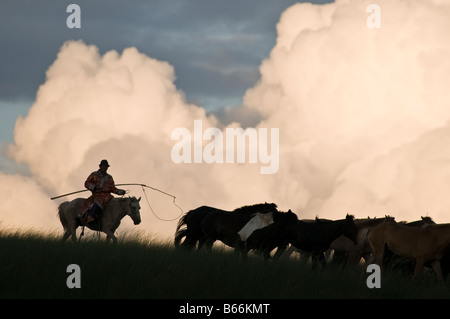 Praterie pastore a cavallo le catture a cavallo con corda e pole urga Xilinhot Inner Mongolia Cina Foto Stock