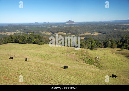 Vista su vacche terreni e casa di vetro montagne da Maleny Sunshine Coast di Queensland in Australia Foto Stock