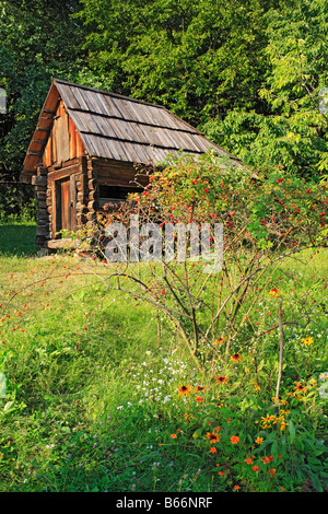 Ucraino di legno tradizionale granaio, Pirogovo (Pyrohiv), museo a cielo aperto dell'Architettura Nazionale, vicino a Kiev, Ucraina Foto Stock