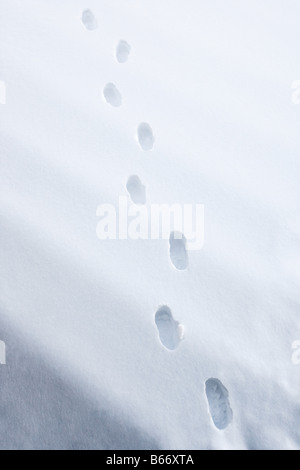 Orme nella neve Foto Stock