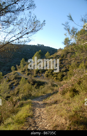 Via A Els pedaggi, vicino a Vall de Ebo village, Marina Alta, Alicante Prov. Comunidad Valenciana, Spagna Foto Stock