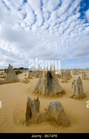 I pinnacoli nambung parco nazionale di Perth Foto Stock