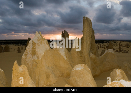 I pinnacoli nambung parco nazionale di Perth Foto Stock