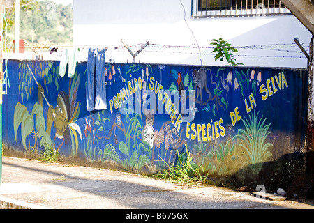 La protezione della natura slogan in Ecuador Amazzonia. Lo spagnolo dipinta sulla parete.verde bosco animali 70964 orizzontale Ecuador Amazonie Foto Stock