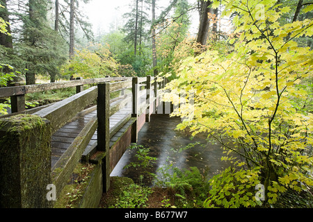 Ponte di legno a Silver Falls state park Foto Stock