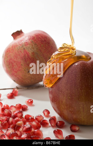 Apple i semi di melograno e miele simboli di Roah Hashanah'anno ebraico su sfondo bianco Foto Stock