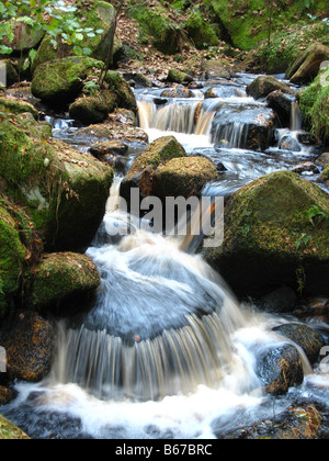 Rapide e le rocce di muschio in Wyming Brook in autunno Foto Stock