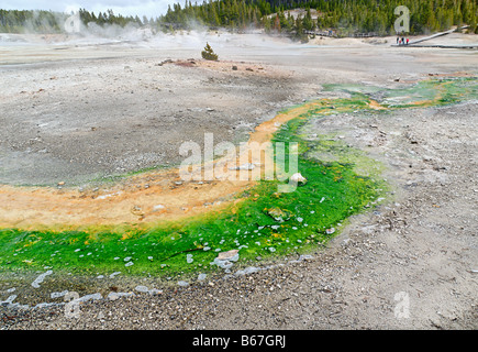 Runoff di una primavera calda con coloratissime alghe e batteri. Foto Stock