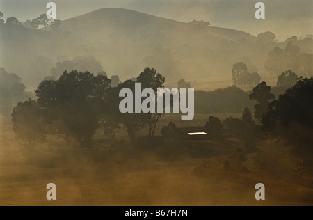 Nebbia di mattina, Australia Foto Stock