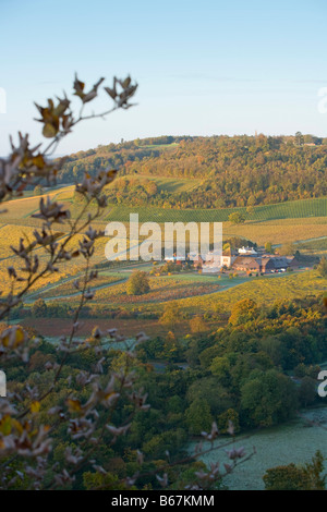 Vista dal Box Hill di [Denbies Vigna] wine estate Dorking Surrey colori autunnali Foto Stock