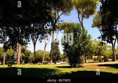 I Pini di Roma nei giardini di Villa Borghese a Roma Italia che ha ispirato la musica di Respighi per il suo tono poesia i pini di Roma Foto Stock