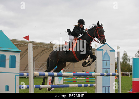 Ponticello equestre catturati nella metà salto con erba e recinti di bianco in background Foto Stock